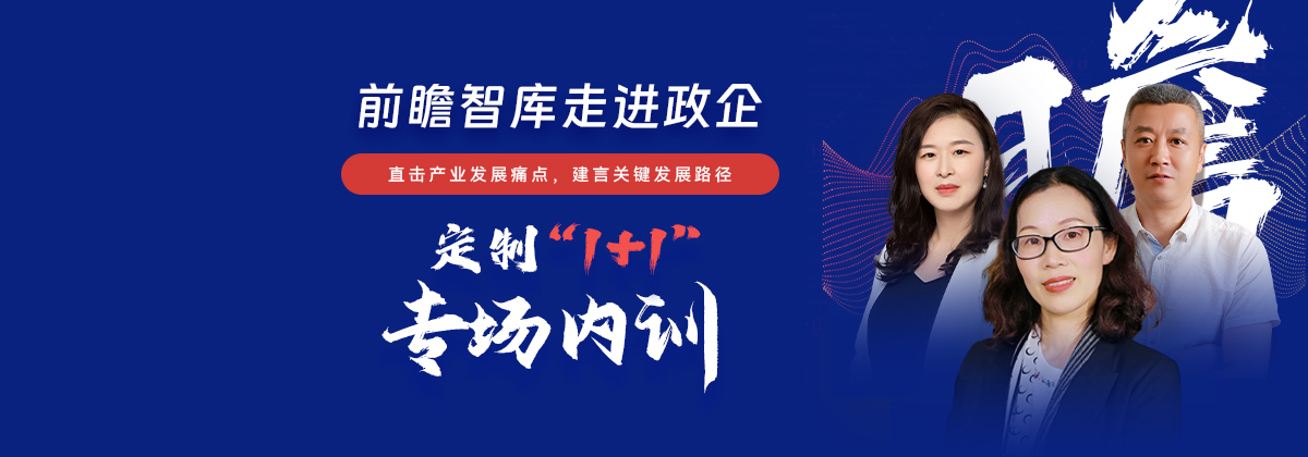 直击产业发展痛点，建言关键发展路径